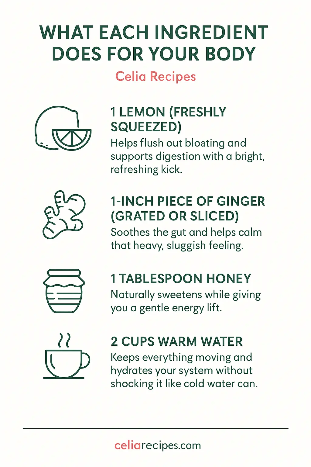 What Each Ingredient Does for Your Body – Wellness Drink Benefits