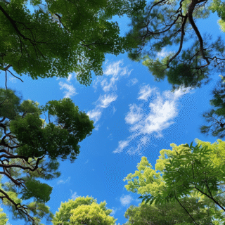 taken with iphone 15 pro max --iw 2 --ar 2:3 --v 6.0 --raw